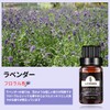 Jiutrees ラベンダー エッセンシャルオイル 10ml 天然100％ 精油 アロマオイル アロマ アロマディフューザー 加湿器用