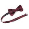 Enlision Bow Ties for Men Paisley Jacquard Burgundy Pre-Tied Bow