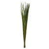 Vickerman 36-40" Foliage Green Sable Grass, 7 oz Bundle, Dried