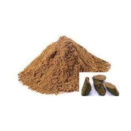 Generic Organic ayurveda Saptaparni Bark Powder - Alstonia Scholaris Bark Powder