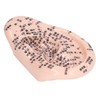 17cm Ear Point Probe 600pcs Auricular Patches Silicone Ear Model