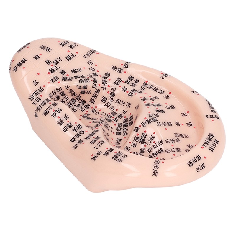 17cm Ear Point Probe 600pcs Auricular Patches Silicone Ear Model