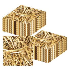 Stroh-Tischservietten, Party-Servietten mit Strohhalm-Motiv für Hawaii-Farm-Party-Dekorationen, Cowboy-Western-Motto-Partyzubehör (16,5 x 16,5 cm), 40 Stück