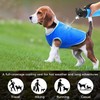 Norhogo Breathable Mesh Ice Vest, Dog Cooling Jacket, Dog Cooling