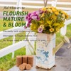 Yalikop 30 Pieces Invisible Plant Pot Feet Risers with Non