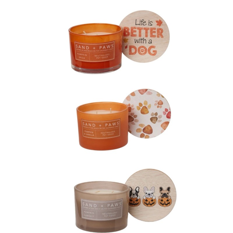 Sand & Paws Lot Of 3 Sand + Paws 12