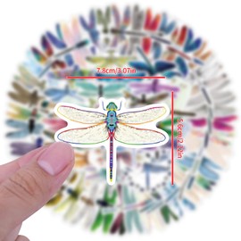 No Stickers for Laptop (Pack of 100), Gift for Children, Teenagers, Adults, Boys, Dragonfly Stickers, Waterproof Vinyl Stickers for Scrapbooking, Skateboard, Car, Luggage