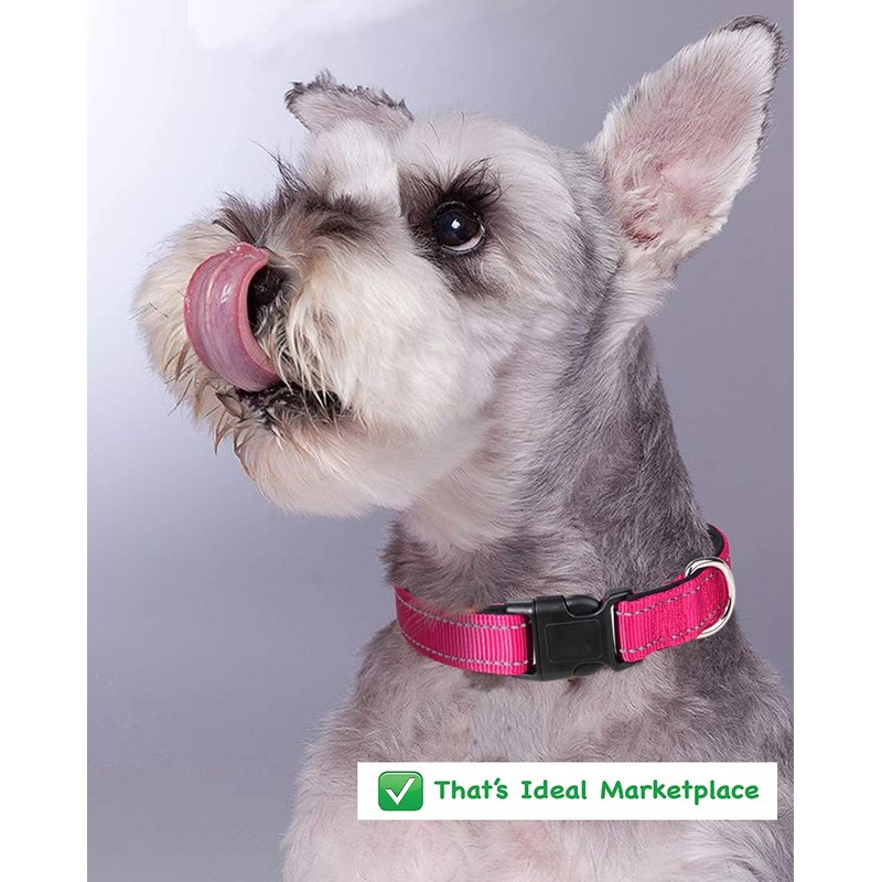 Strong Bright Reflective Dog Puppy Collar, Soft Padded Lightweight, Fully