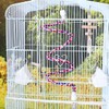 POPETPOP Rope Perch, Parakeet, Perch, Parrot, Bird Toy with Bell