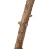 Pssopp Prickly Ash Wood Perch Stand Bird Wooden Chew Bite