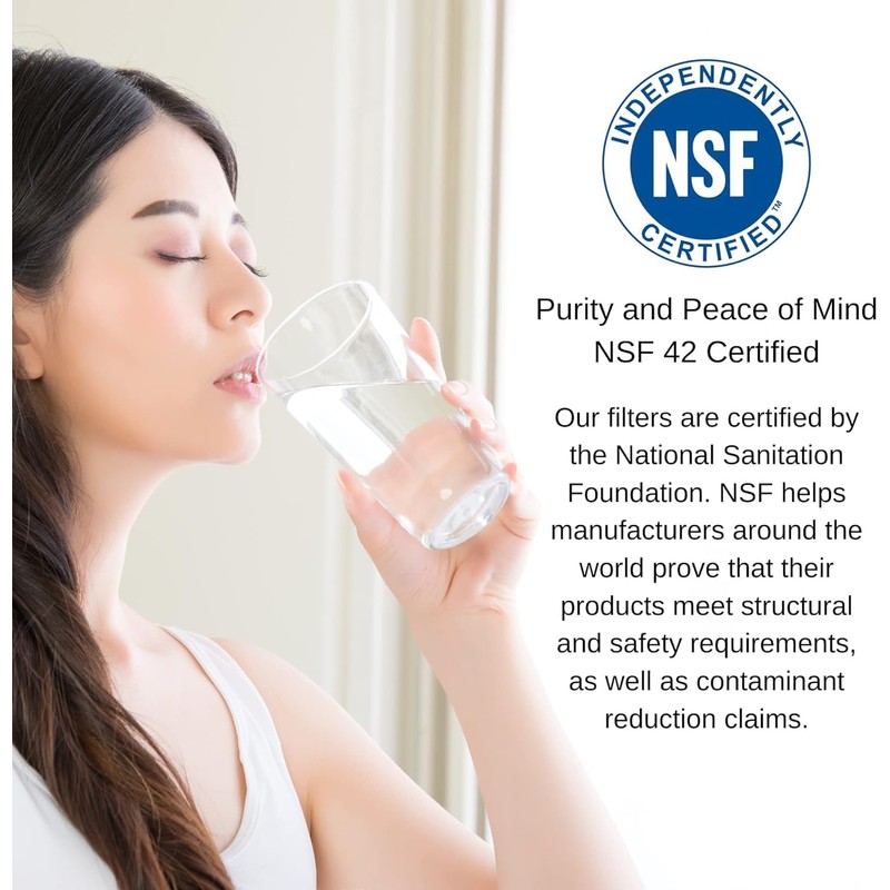PureT IL-10SC-AK-EZ14, Remineralization Alkaline Water Filter - 2" X 10"