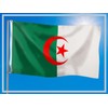 PHENO FLAGS Algeria Flag – Algerian Flag 90 x 150