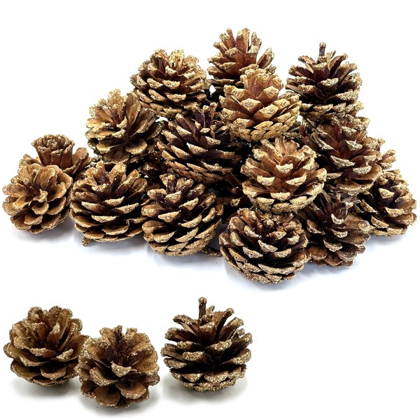 Pextian 30 pieces pine cones, natural pine cones for crafts, 4-5 cm pine cones decoration, large pine cones for Christmas decoration, advent wreath decoration, Christmas tree, DIY crafts, winter