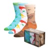 Dinosaur Fossil 3 Pair Crew Box Set, multicoloured