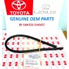 Toyota Lexus Windshield Wiper Blade Refill (Left Right) GENUINE OEM