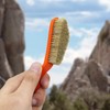 Boar Hair Rock Climbing Brush with Ergonomic Handle, Bouldering Boulder