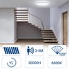 SHYOSUCCE LED Ceiling Light with Motion Sensor Indoor, 30 W