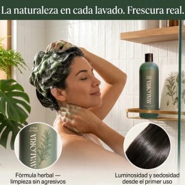 Shampoo Avaloria Botánico Anticaída y Crecimiento Natural 480 ml, sin sulfatos, sin parabenos, ni sales. Extracto 100% Natural con 10 Hierbas; hidrata