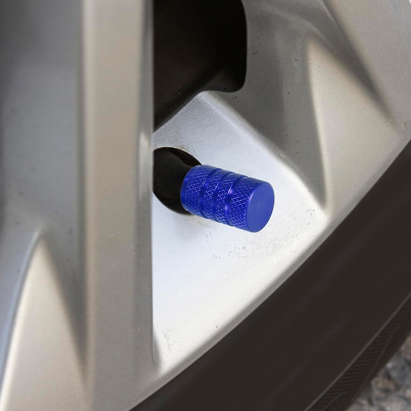 X AUTOHAUX 4pcs Round Car Tire Valve Stem Caps Dust