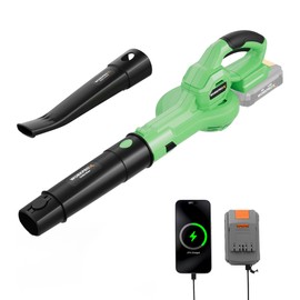 WORKPROX Leaf Blower Cordless, 20V Electric Blower with 4.0Ah Type-C Charging Battery, 138MPH 170CFM, Lightweight Handheld Mini Blowers for Lawn Care, Patio Cleaning, Dust, Blowing Leaves