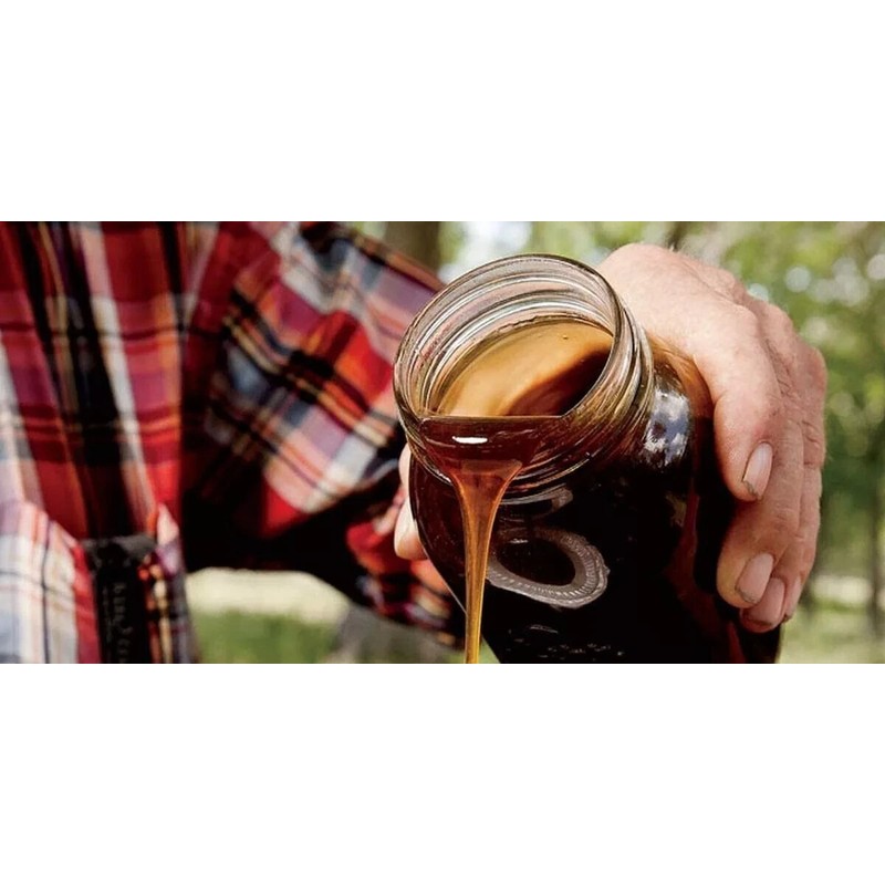 Link Sweet Sugar Drip Sorghum Seeds - 800-1000 seeds