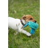 Petface (Little Talulah Turtle Plush Puppy Dog Toy with Built-In-Squeaker
