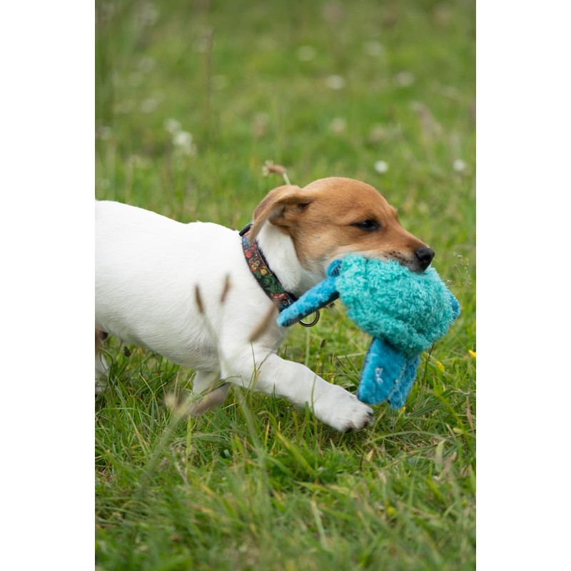 Petface (Little Talulah Turtle Plush Puppy Dog Toy with Built-In-Squeaker