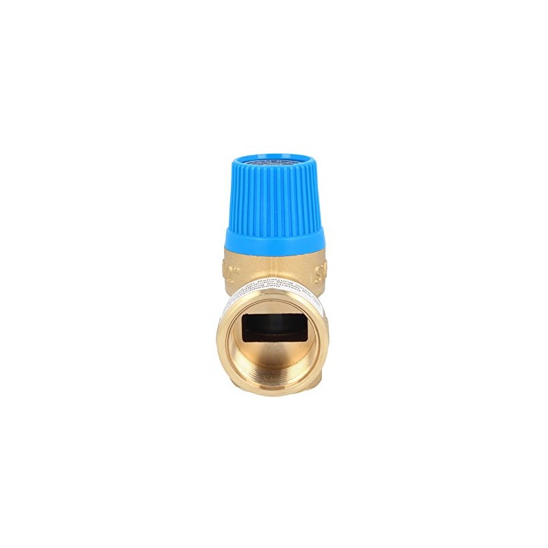 Watts Membrane Safety Valve Relief Valve 10 Bar