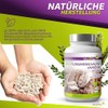Vita2You Psyllium Husks Organic Capsules 3000 mg - 180 Capsules