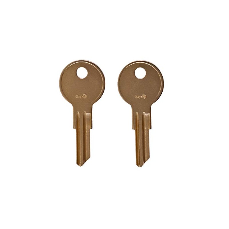 8025 Pair of 2 Keys for 1998-2012 Coleman Pop-Up Camper