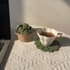 DICHA Crochet Leaf Pot Coasters-Container Beverage Coaster Sets with Holder