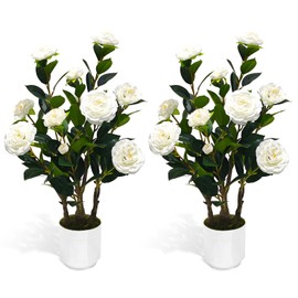 Howngyesimu 2Pack Artificial Camellia Tree, 2FT Faux Camellia Plant in Pot with White Flowers for Spring Home Front Door Outdoor Indoor Decoration,White