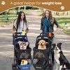 Pet Stroller,Dog Stroller for Small Medium Dogs Cats,3 Wheels,Foldable,with Breathable