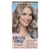 Clairol Nice'n Easy Permanent Hair Dye, 8S Soft Silver Hair