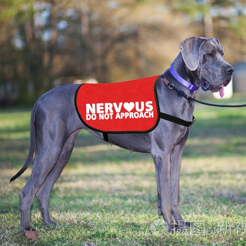 JXGZSO Nervous Do Not Approach Dog Jacket Vest Nervous Rescue