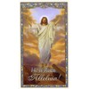 I Am The Resurrection N holy card - laminated -