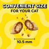 Temptations Classic Crunchy and Soft Cat Treats, Shrimpy Shrimp Flavor,