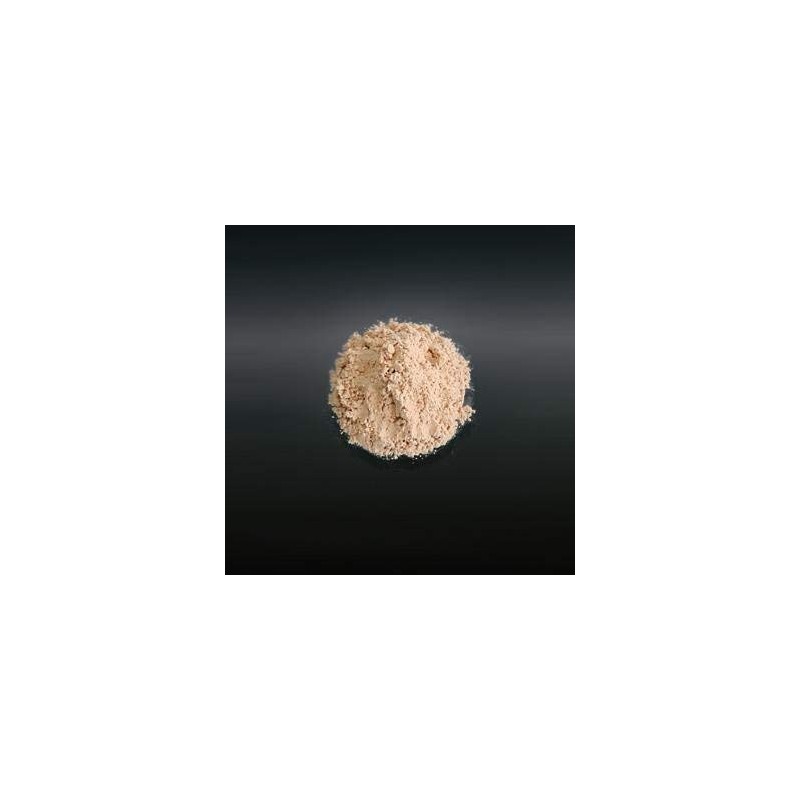 EPORASHE Translucent Powder 0.2 oz (5 g) (with Case and