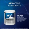 Aminoacidos Bcaa Powder Gat Sport 50 Servicios