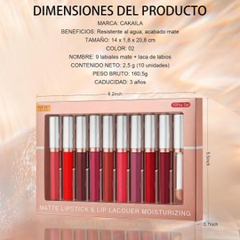 10 Colores Lápiz Labial, Maquillaje de Larga Duración, Hidratante, Brillo de Labios, Resistente al Agua, Antiadherente, Resistente al Color y Acabado Mate, Set de Maquillaje para Mujer (02)