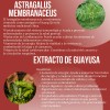 Quemador De Grasa Abdominal 120 Cáps. Citrato De Magnesio