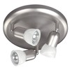 James 1 Light Ceiling Light, Brushed Pewter Finish