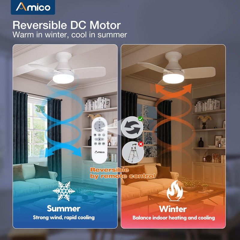 Amico Ceiling Fans with Lights, 30 inch Low Profile Ceiling