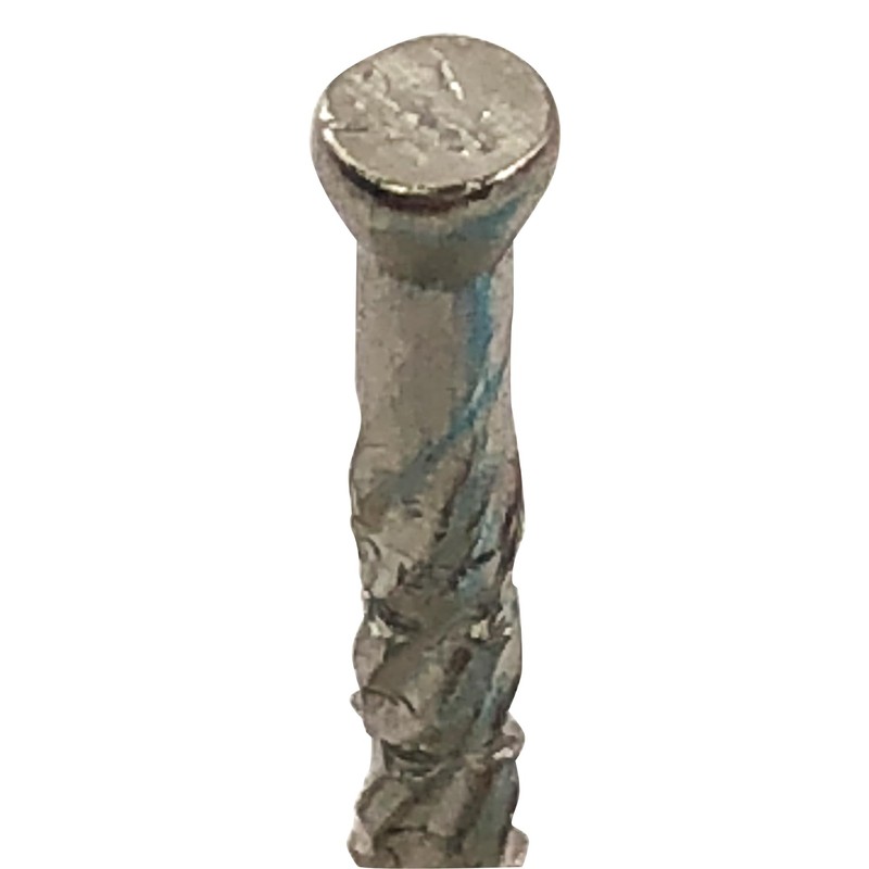 Daidohant 10179671 Stainless Steel Screw Nails, Panel (Diameter: d) 0.07