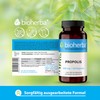 BEE PROPOLIS / PCHELENE POPOPOLIS 60 KAPSULI x 300mg