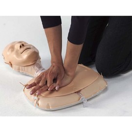 Mini Annie CPR Anytime CPR doll CPR model / 미니애니 CPR애니타임 심폐소생술인형 심폐소생술모형