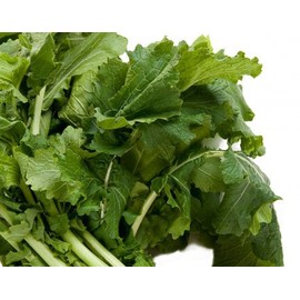 Turnip Seven Top Deer Food Plot Great Heirloom Vegetable by Seed Kingdom Bulk 5,000 Seeds