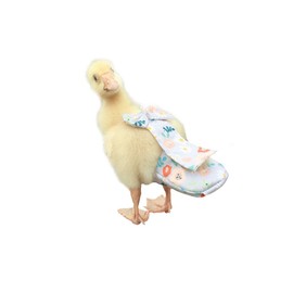 HEZHUO Pañales de pato, pañales de pollo, pañales especiales para aves de corral, pollo, pato y ganso, impermeables, ajustables, lavables y reutilizables, suministros de aves de corral, suministros de pato (8XL:2750 – 4000