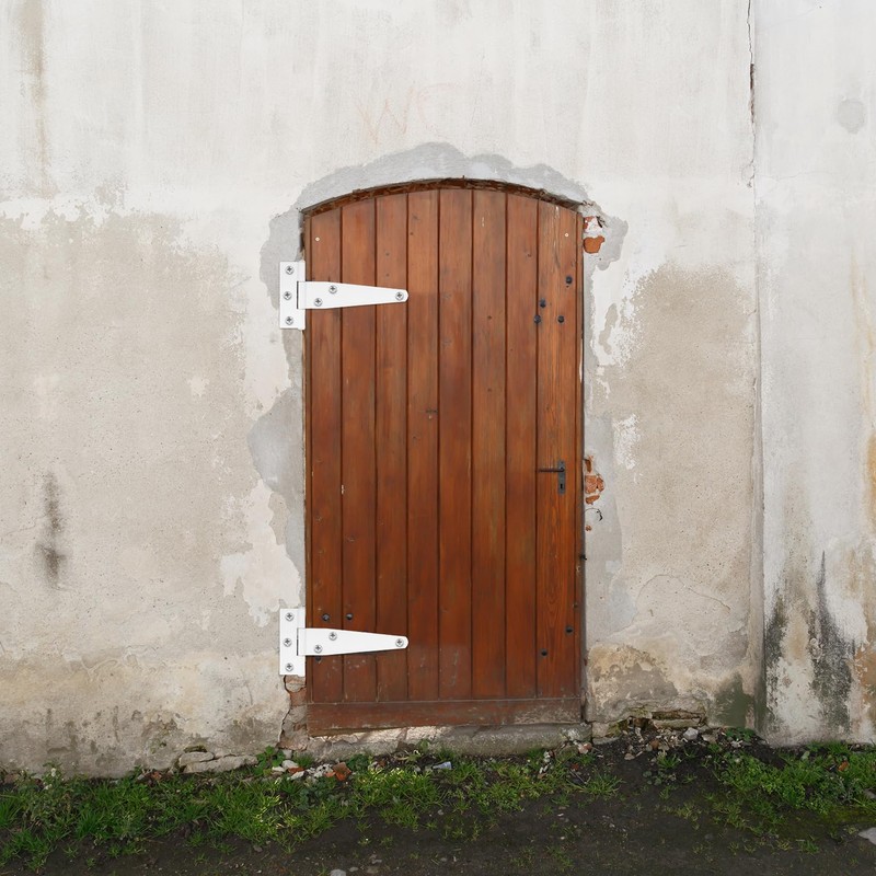 Pack of 8 Door Hinges, Garden Gate Hinge, T-shaped Hinges,
