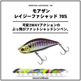 DAIWA Seabass Sinking Pencil Moissanite Lazy Fashad 70S 3D Conoshiro 70S Lure